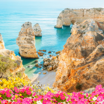Suncation - Sonne, Strand und echtes Sommerfeeling